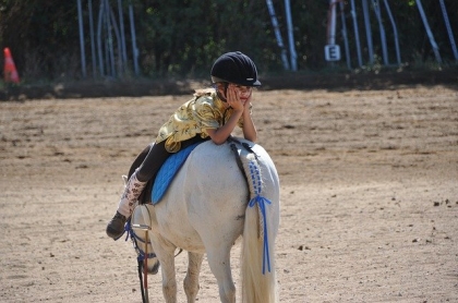 Jak nauczyć się jazdy konnej?